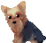 [L[